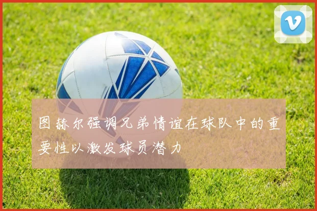 图赫尔强调兄弟情谊在球队中的重要性以激发球员潜力