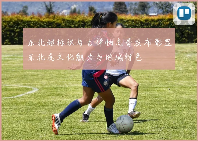 东北超标识与吉祥物虎哥发布彰显东北虎文化魅力与地域特色